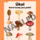 Podzimní stezka pro děti z MŠ 4