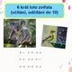 LOTO - POČÍTÁME DO 10 ( do 5 se sovičkou, do 10 se zvířátkem) 2