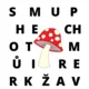 Pracovní listy houby - barevné 3