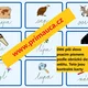 CELOTŘÍDNÍ AKTIVITA Z ČEŠTINY S MNOŽSTVÍM VARIANT POUŽITÍ 5
