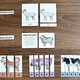 DOMÁCÍ ZVÍŘATA - soubor aktivit  5