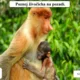 RISKUJ! Savci II. - POZNÁVAČKA 3