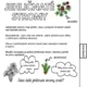 Den stromů - flipbook 2
