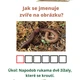 SADA aktivit živly 7
