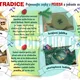 HRAVÁ VÁNOČNÍ ČEŠTINA (sada kreativních aktivit a interaktivních her s vánoční tematikou) 6