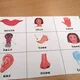Bingo - BODY 2