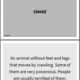 ENG - GUESS THE WORD / ANIMALS (hádej slovo podle popisu) 3