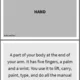 ENG - GUESS THE WORD / BODY AND FACE (hádej slovo podle popisu) 3
