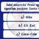 Vánoční kvíz - prezentace Power Point, Vánoce 2