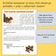 Čtenářská lekce - vánoční pohádka + odborný text 2
