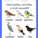 Zimní úkolové kartičky 4