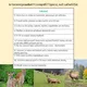 Zvířata našich lesů - práce s textem 3