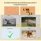 Zvířata našich lesů - práce s textem 4