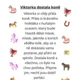 Slovní druhy s KOŇSKOU tematikou 2