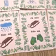 Já mám, kdo má? ADVENT 2