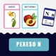PÍSMENO P a N  (pexeso, demonstrační karty) 2