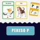PÍSMENO P a N  (pexeso, demonstrační karty) 3