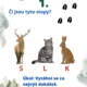 Stezka stopy zvířat 3