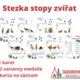 Stezka stopy zvířat 2