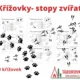 Křížovky stopy zvířat 2