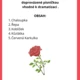 Pohádkové minimuzikály 2