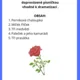 Pohádkové minimuzikály 2 2