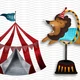 CIRKUS - VÝZDOBA 6