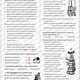 LITERÁRNÍ MINITESTY (7. třída) - s ŘEŠENÍM 7
