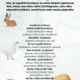 Soubor pracovních listů "Ovoce a zelenina" 3