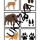 🐾🔎 STOPY 🔎🐾 2