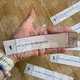 PŘÍRODOVĚDA 5: Kontrolní otázky pro ústní zkoušení žáků 5. ročníku 7