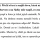 Spisovná a nespisovná čeština - já mám, kdo má; pracovní listy, tabulky  3