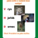 Stezka les 4