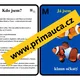 UČÍME SE POZNÁVAT MOŘSKÉ RYBY A PARYBY - aktivita mimo lavice, skupinková práce 4