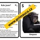 UČÍME SE POZNÁVAT ZVÍŘATA AFRIKY - Hra na zvířecí detektivy! 5
