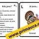 UČÍME SE ČÍST, POZNÁVAT A POPISOVAT DOMÁCÍ ZVÍŘATA - skupinové činnosti mimo lavice 5