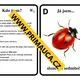 UČÍME SE POZNÁVAT HMYZ - hra na hmyzí detektivy - aktivita mimo lavice 3