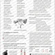 LITERÁRNÍ MINITESTY (9. třída) - s ŘEŠENÍM 4
