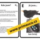 UČÍME SE POZNÁVAT NAŠE PTÁKY - aktivita mimo lavice - hra na zvířecí detektivy 3