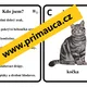 UČÍME SE ČÍST, POZNÁVAT A POPISOVAT DOMÁCÍ ZVÍŘATA - skupinové činnosti mimo lavice 3