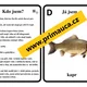 UČÍME SE POZNÁVAT NAŠE NEJZNÁMĚJŠÍ RYBY - aktivity mimo lavice, pexeso 3