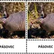 Třísložkové karty - SAVCI (50 druhů) 2