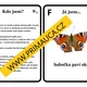 UČÍME SE POZNÁVAT HMYZ - hra na hmyzí detektivy - aktivita mimo lavice 4