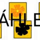 Bee-bot - jaro - hledání stínů květů 2