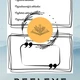 Reflektivní aktivity 3