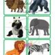 Zvířata Zoo - pexeso, skládačky 2