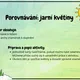 Porovnávání: Jarní květiny 3