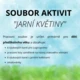 Jarní květiny 3