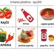 VYSÉVÁME POZORUJEME SÁZÍME - POZOROVÁNÍ - příprava do hodin 8