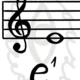 Noty 6